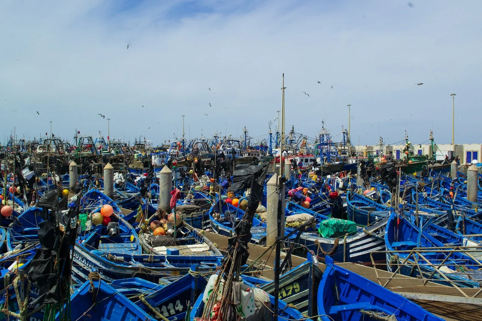 Essaouira depuis Marrakech : réussir une journée sur l’Atlantique
